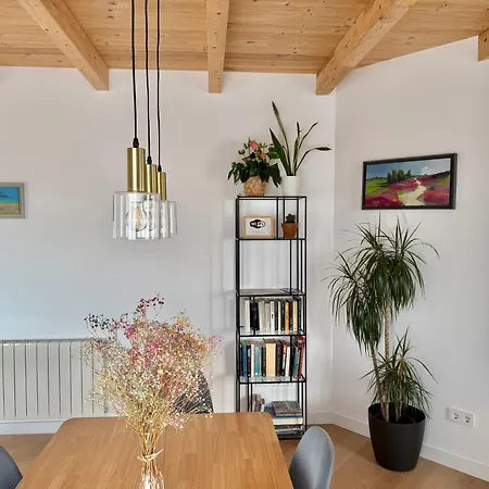 Senorial Panoramico By Catedral Camino Suites Appartement Burgo